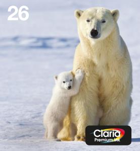Ink Cartridge - 26 Polar Bear - 19.7 Ml - Black, Yellow, Cyan, Magenta - Original