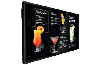 Signage Solutions - 55bdl3117p - 55in - 1920x1080 P-line Display