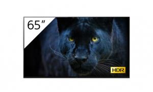 Smart Tv 65in Bravia Fwd-65a8/t LCD Professional Display 4k Uhd Oled Android 9.0 With Tuner