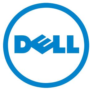 Dell PERC H755 SAS Front Controller Card Customer Kit