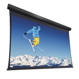 Projecta Extensa 219x390 Dual Vision