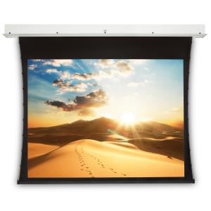 Projection Screen Cinema Electrol Black123x160cm\high Contrast S Video Format 4:3