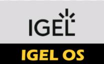 Igel Standard Plus - Upgrade License
